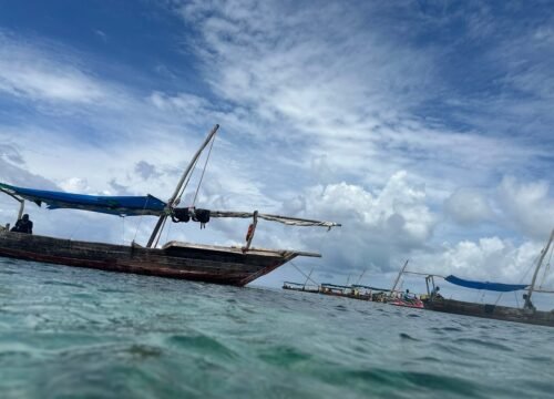 Tanzania Safari & Zanzibar Beach Holiday