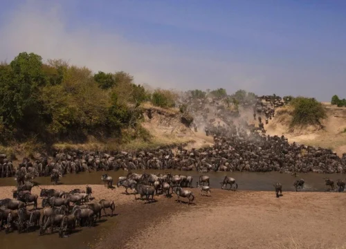 The East African Beach and Bush Tour