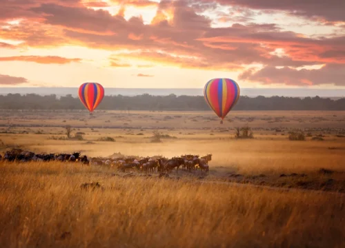 Great Migration & Romantic Tropical Island Package