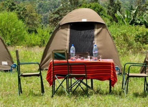 Camping Safaris in Tanzania