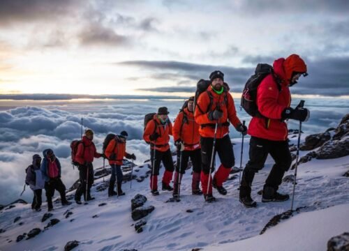 Kilimanjaro Mountain Climbing – The Roof of Africa