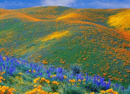 Kitulo National Park – The Garden of God