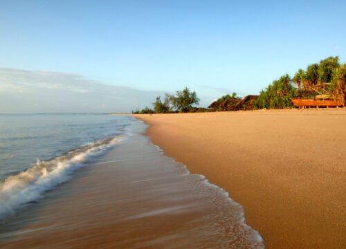 Saadani National Park Safari & Beach Escape