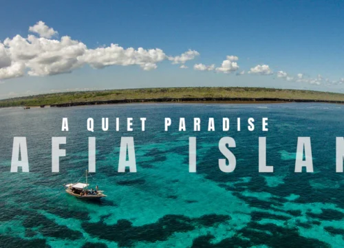 Mafia Island Marine Paradise