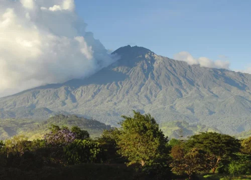 Arusha National Park